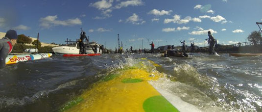 Stand Up Paddleboarding San Rafael