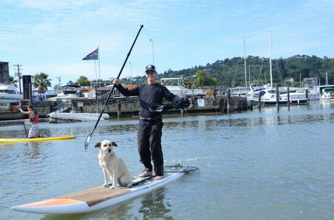 Stand up paddleboard clean up the canal