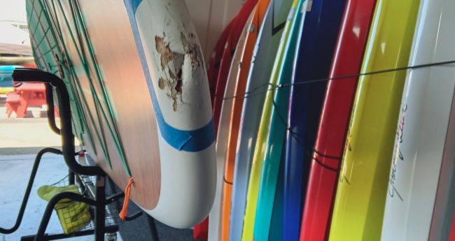 Board Ding Repair For The San Francisco Bay Area – 101 Surf Sports