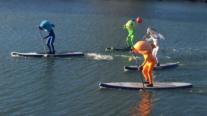 San Francisco Giants Paddleboard Racing in McCovey Cove - Fish Costumes