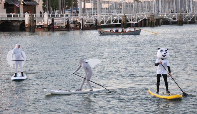 San Francisco Giants Stand Up Paddleboard Racing Season 2013 - Game On!