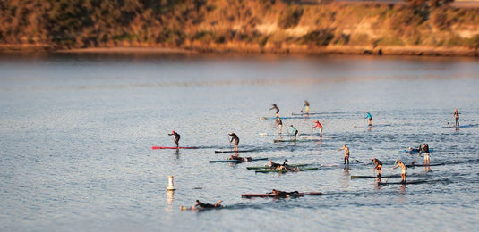 Group Paddleboard Sessions in San Rafael