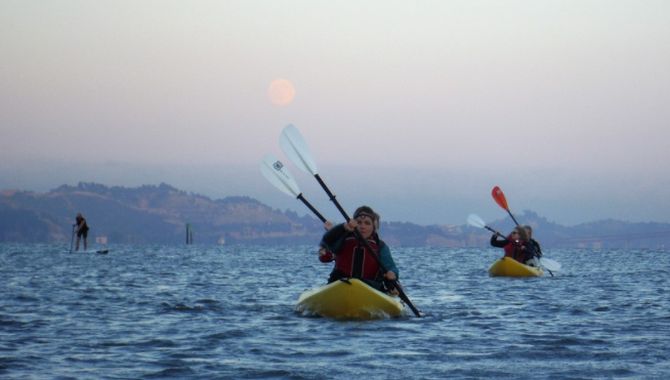 Fabulous Moonlight Paddle On San Francisco Bay