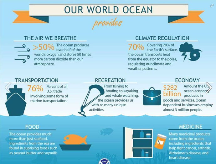 Need A Few More Reasons To Protect Our Oceans?