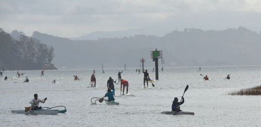 Paddlers Racing on San Francisco Bay