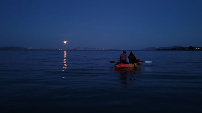 Strawberry Moon Blossoms On San Rafael Paddle Tour