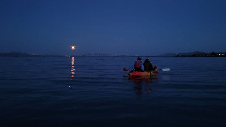 Moonlight paddle on san francisco bay on a kayak