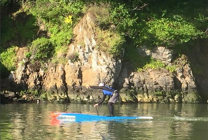 Stand Up Paddleboard rentals on San Francisco Bay