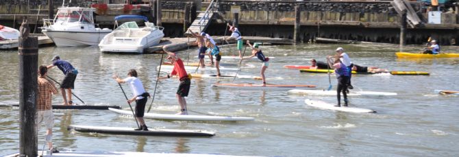 Stand Up Paddleboarding Race 2 Marin County