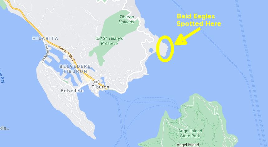 Map to see bald eagle in marin