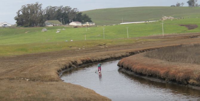 Paddling in Estero American