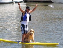 Stand Up Dog Paddleing!