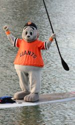 Lou Seal Stand Up Paddleboarding