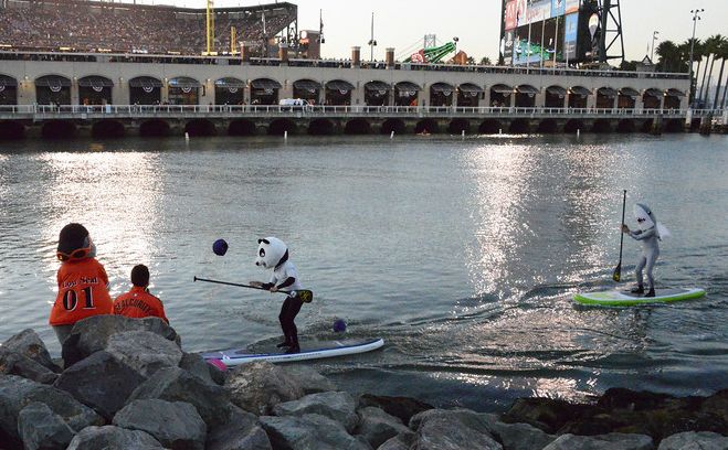 Paddleboarding McCovey Cove