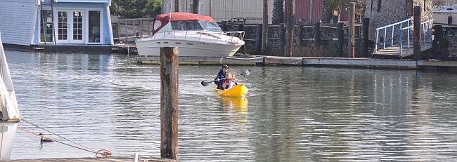 Kayaking the san francisco bay 