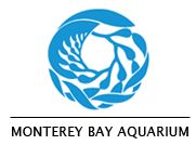 monterey bay aquarium paddleboard racing in McCovey Cove