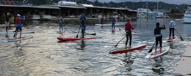 Group paddles