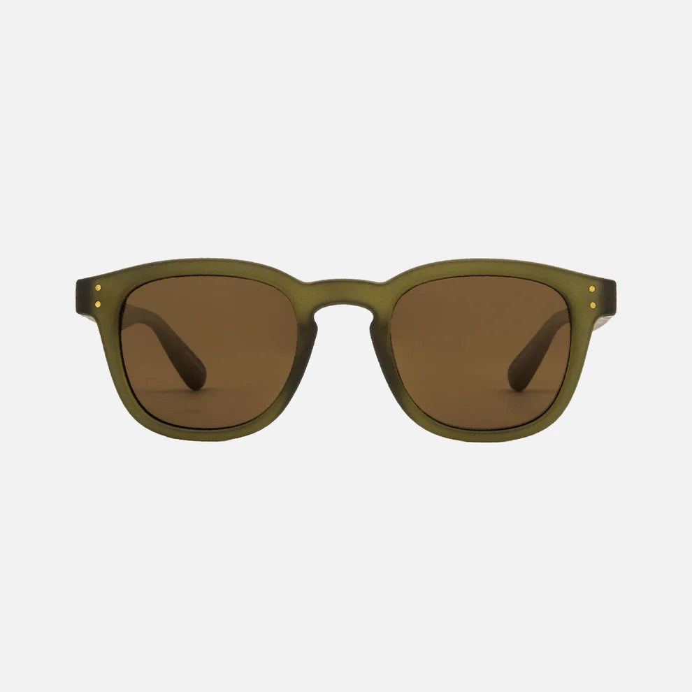 Carve Havana Injected Polarized Sunglasses