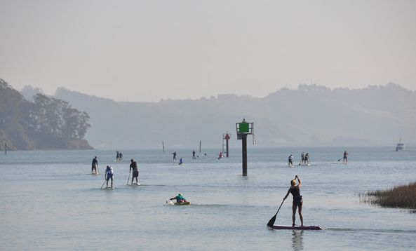 Stand Up Paddleboard Racing in San Rafael