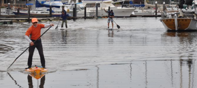 Stand Up paddleboard Racing in Marin