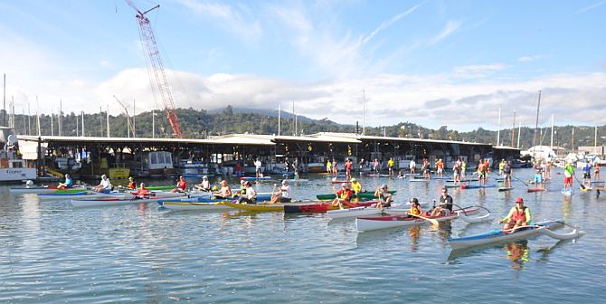 paddle racing in san francisco bay