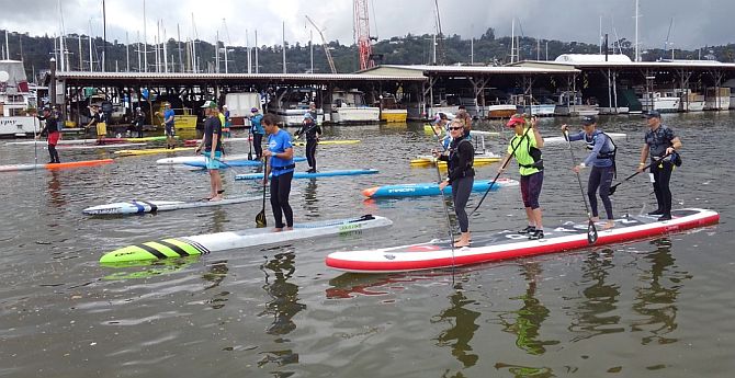 paddleboard racing in san francisco bay