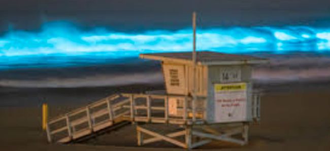 bioluminessence kayak tours on tomales bay