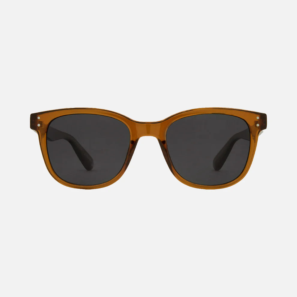 Carve Homeland Injected Polarized Sunglasses