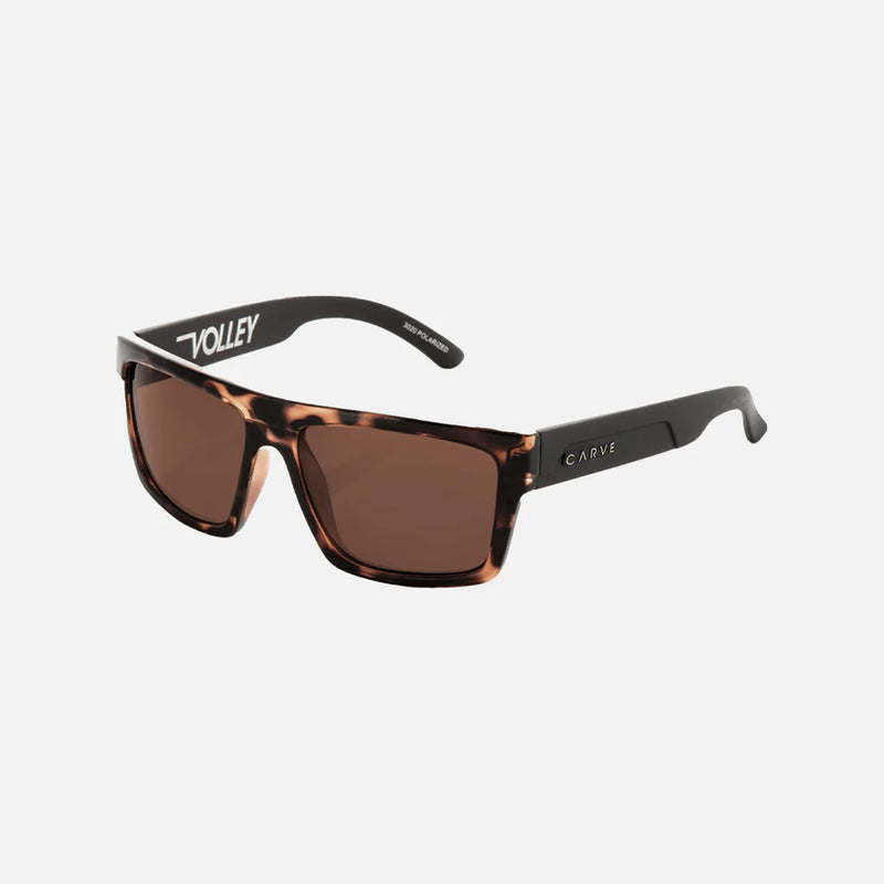 Load image into Gallery viewer, Carve Volley Sunglasses
