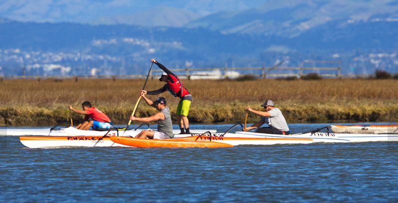 Wavechaser paddle racing on San Francisco Bay