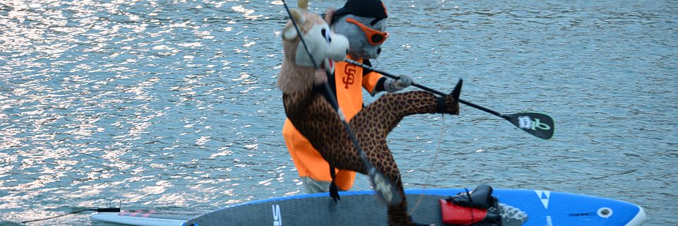 Lou Seal Stand Up Paddling on San San Francisco Bay